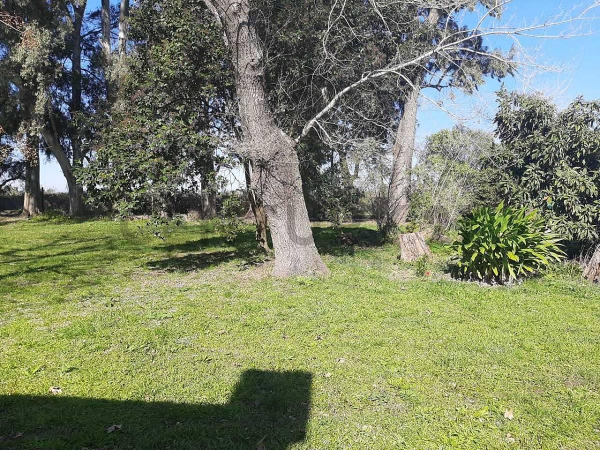 Foto de Lote en esquina de 50x50 en Sicardi, imagen 4