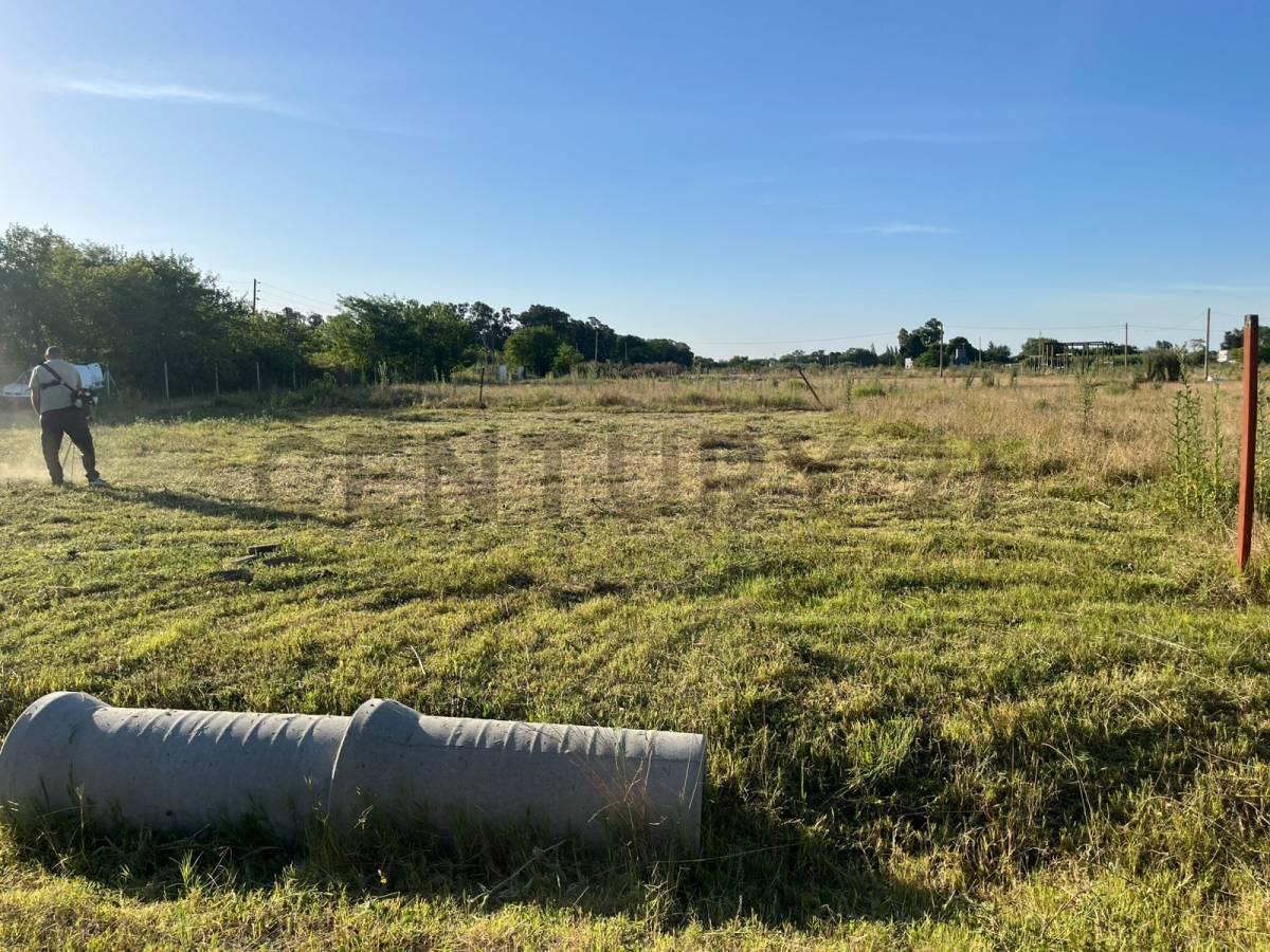 Foto de TERRENO EN VENTA 12X27 CEREZOS 2, imagen 1