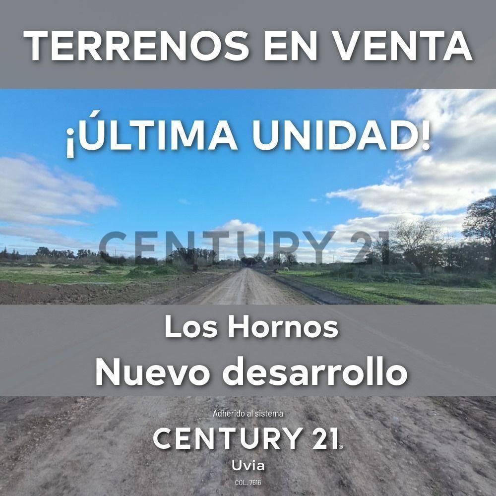 Foto de TERRENO EN VENTA 12X27 CEREZOS 2, imagen 3