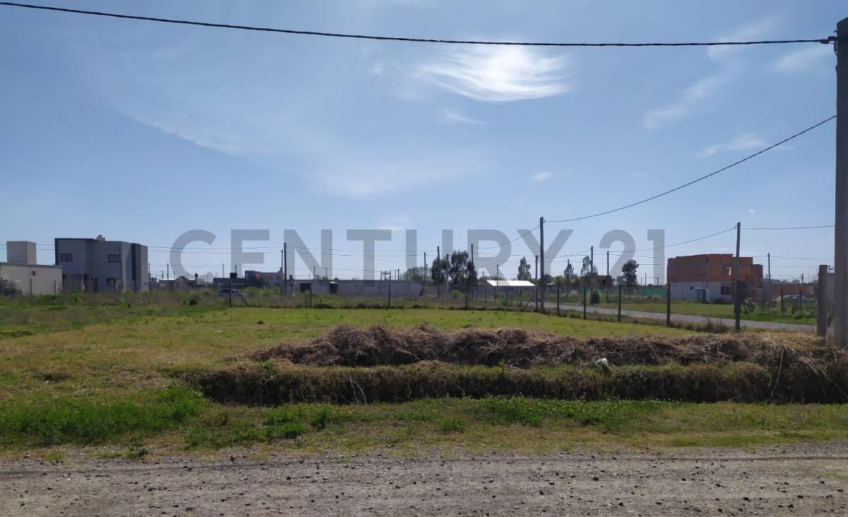 Foto de Terreno en venta en La Plata, imagen 3