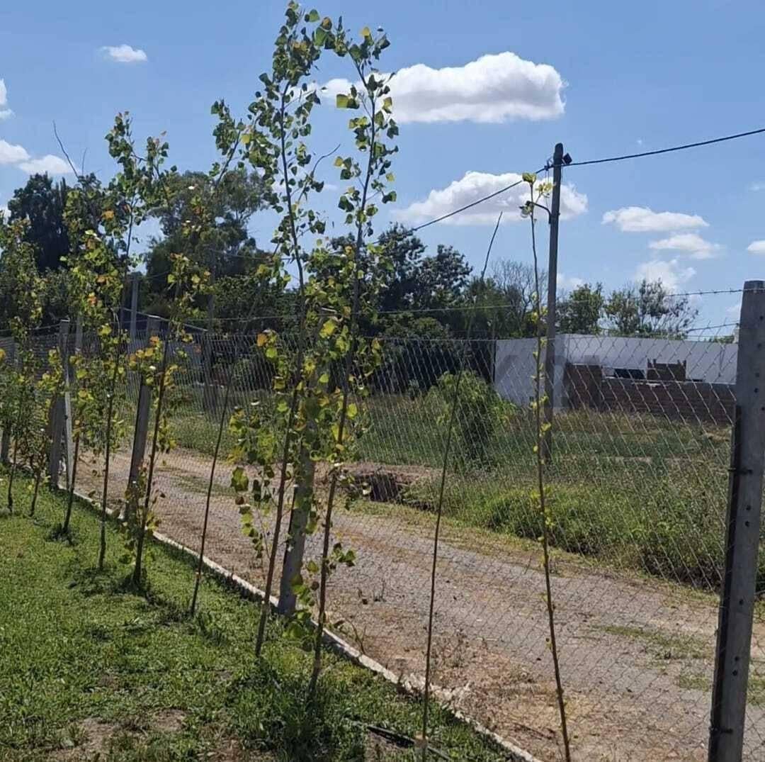 Foto de ULTIMAS 3 UNIDADES!!! VENTA DE TERRENO EN FINCA LOS CEREZOS - LOS HORNOS, imagen 2