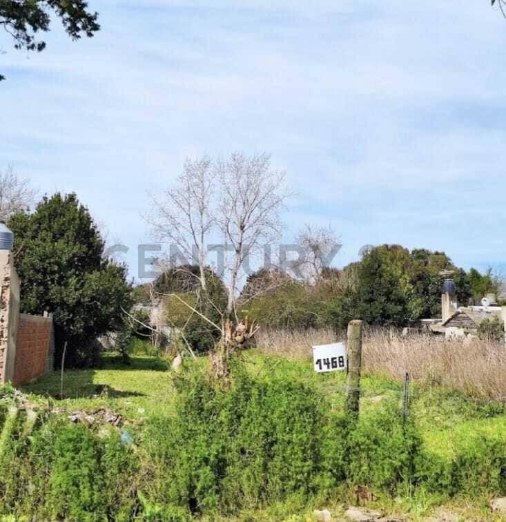 Foto de TERRENO A LA VENTA PARA HACER REALIDAD TU PROYECTO, imagen 2