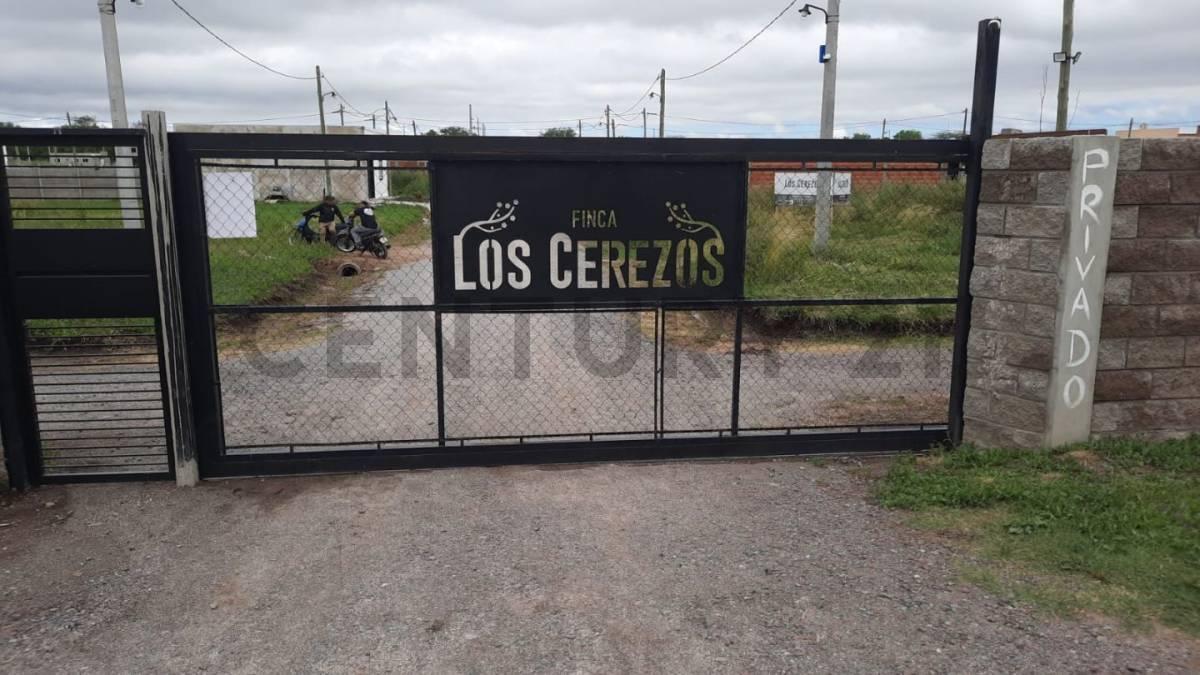 Foto de Lotes en Fincas Los Cerezos, Los Hornos, imagen 1