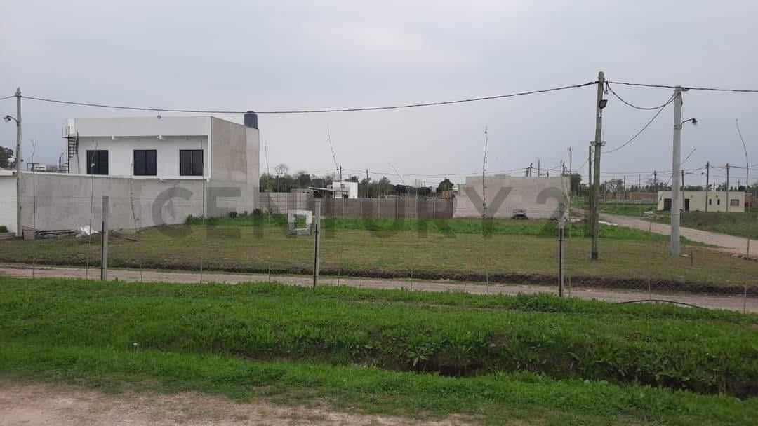 Foto de Lotes en Fincas Los Cerezos, Los Hornos, imagen 2