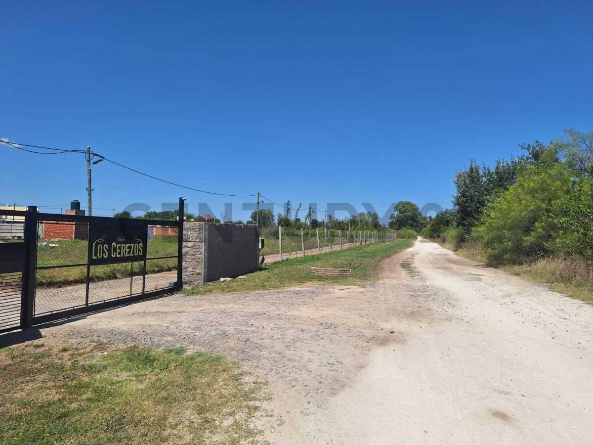 Foto de VENTA DE TERRENO EN FINCA LOS CEREZOS - LOS HORNOS, imagen 4