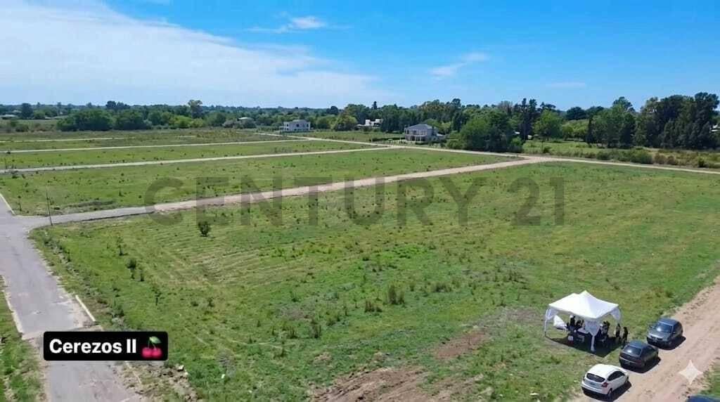 Foto de LOTE EN VENTA - Finca Los Cerezos II - Los Hornos, imagen 2