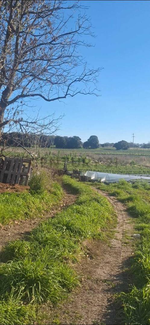 Foto de CAMPO EN ARANA - 8,8 HECTÁREAS CON VIVIENDA Y GALPONES A LA VENTA!, imagen 2