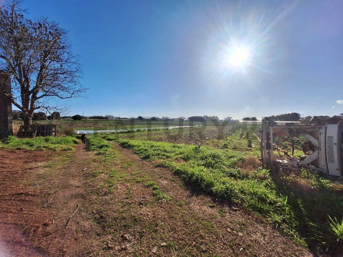 Foto de CAMPO EN ARANA - 8,8 HECTÁREAS CON VIVIENDA Y GALPONES A LA VENTA!, imagen 5