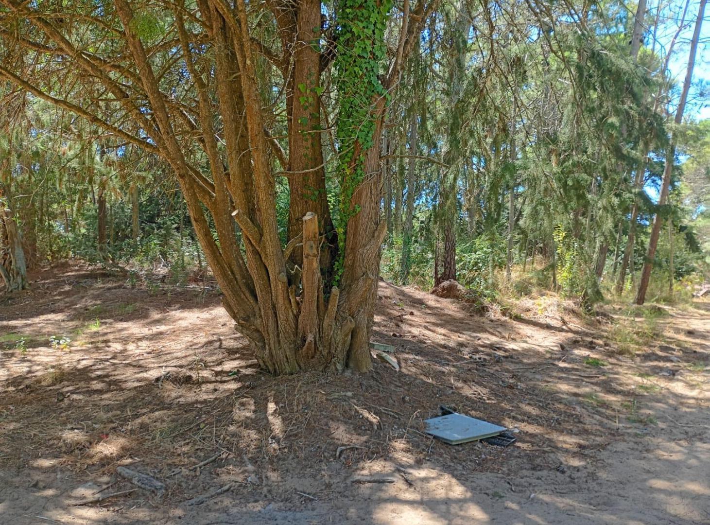 Foto de Terreno en venta en Carilo, imagen 5