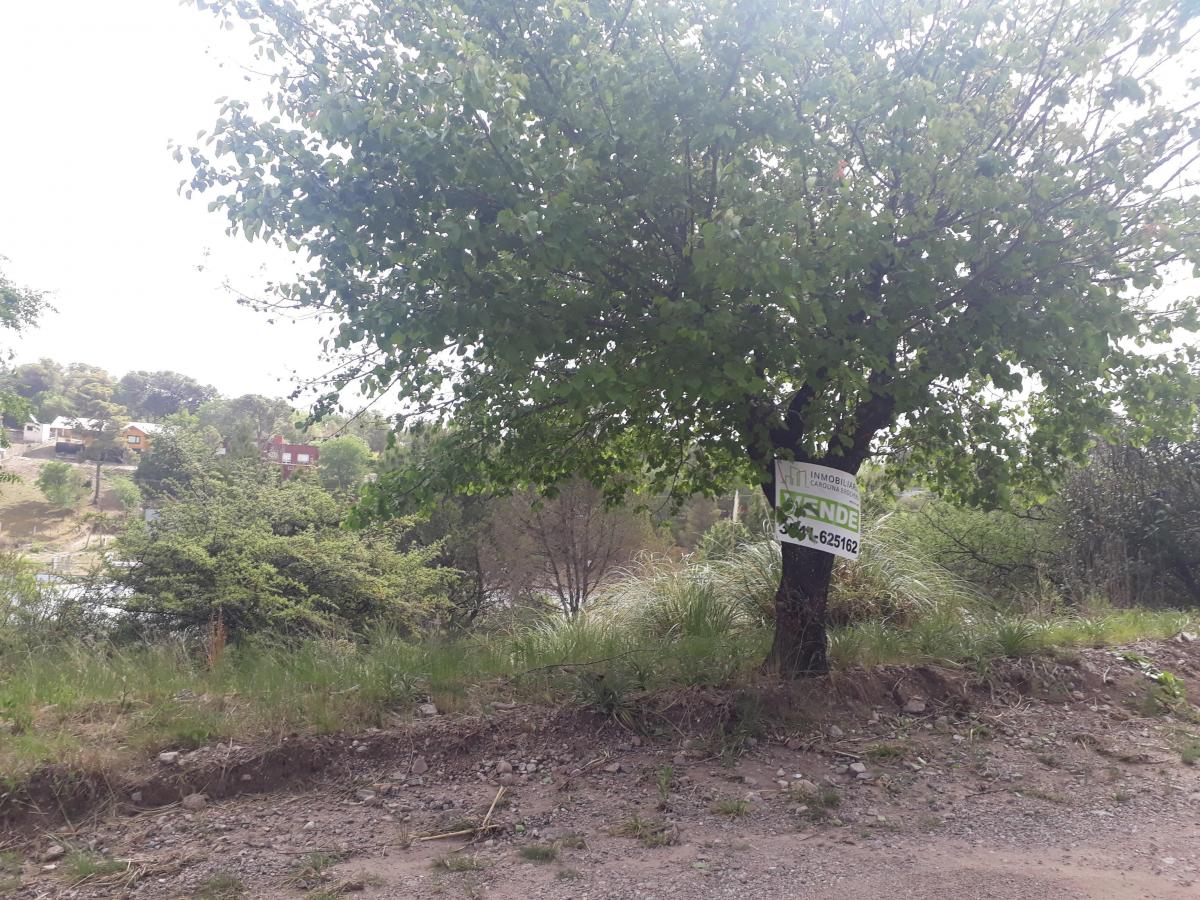 Foto de VENTA LOTE EN HUERTA GRANDE A METROS DE LA RN38- CORDOBA, imagen 2