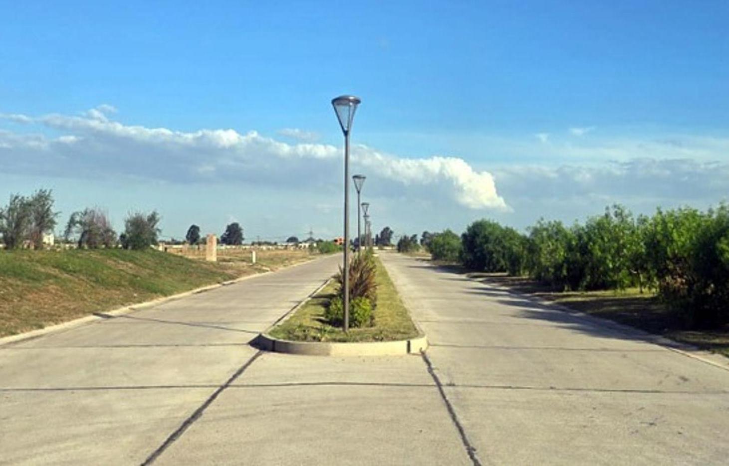 LOTE Saint Thomas Chico