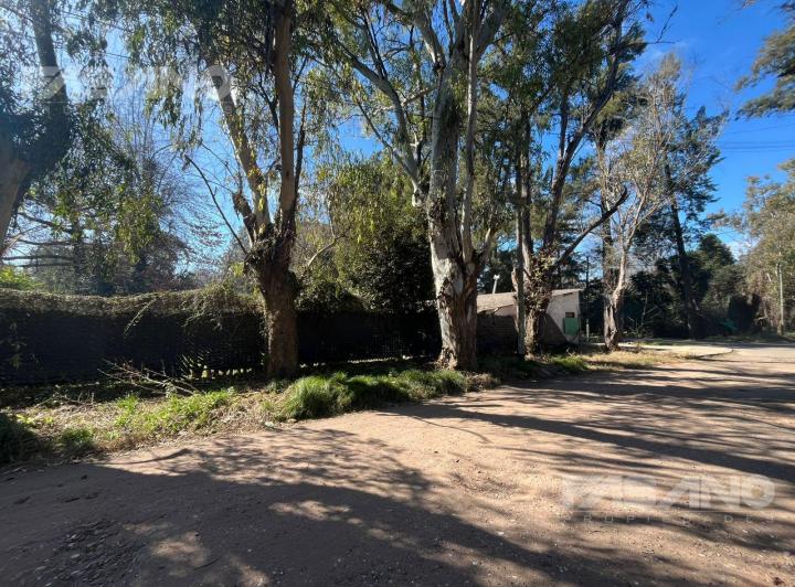 CASA QUINTA EN ALQUILER - BARRIO YEI PORA - TORTUGUITAS 2