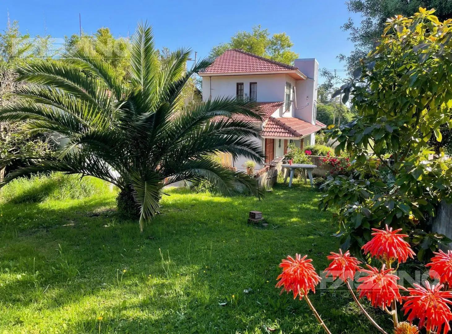 CHALET DE 4 AMBIENTES EN ESQUINA SOBRE LOTE PROPIO EN PUNTA MOGOTES 4