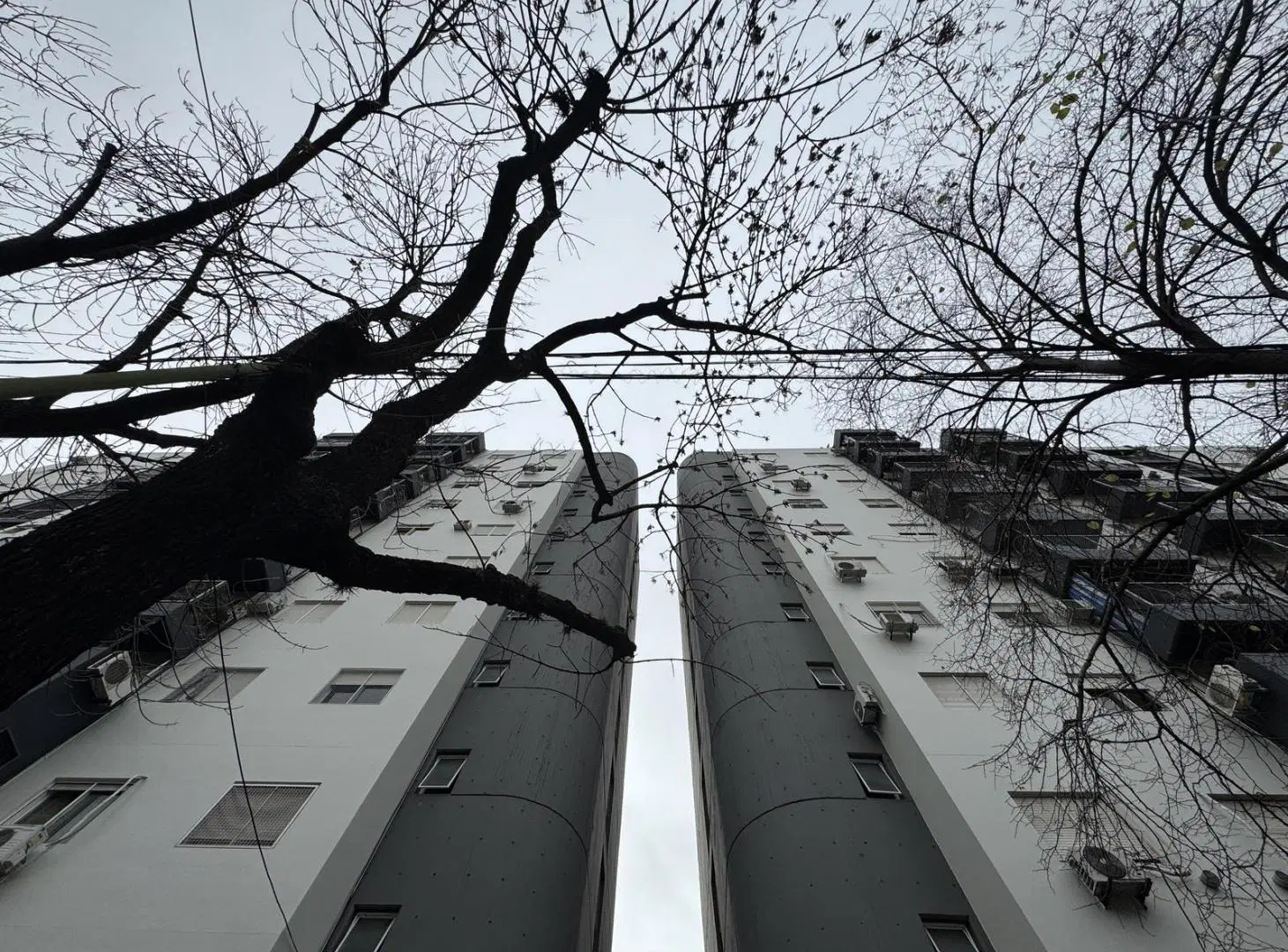 Departamento en Colegiales 5