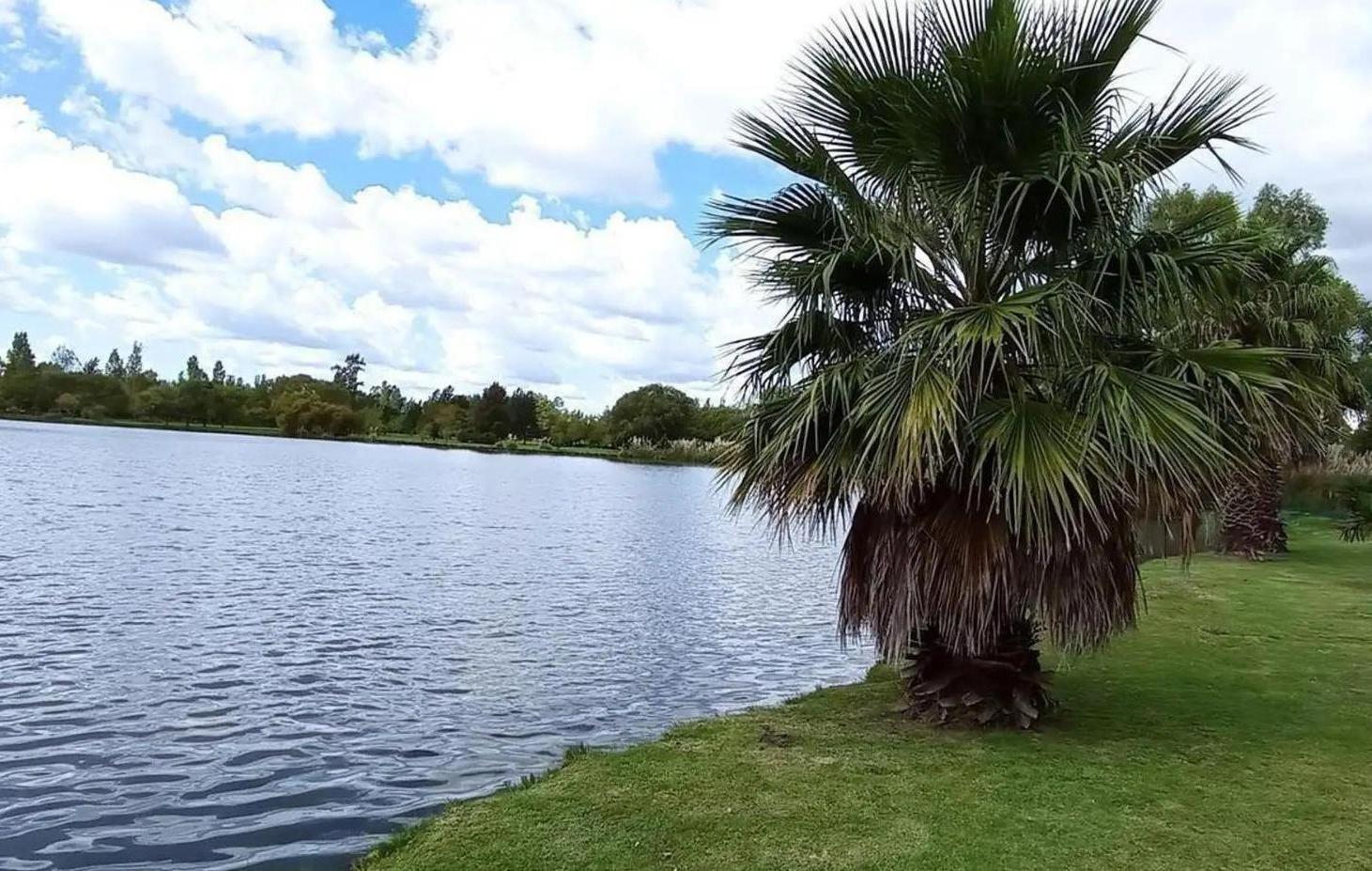 Foto de Venta Terreno en Posada de los Lagos, imagen 4