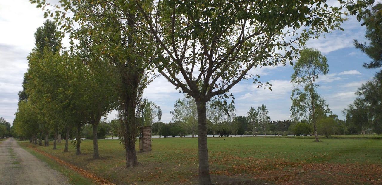 Foto de Venta Terreno en Posada de los Lagos, imagen 2