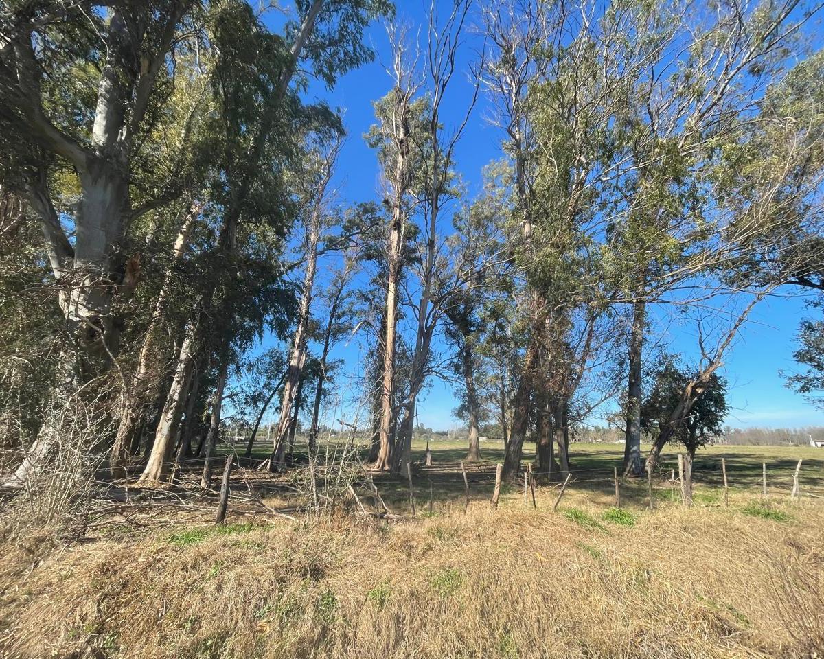VENTA DE LOTES Los Pinos, Exaltación de la Cruz