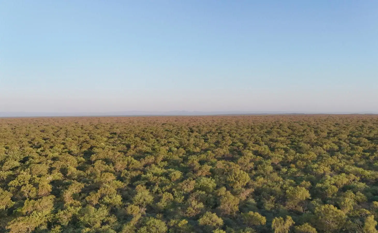Campo GANADERO APICOLA  Tulumba CORDOBA 5