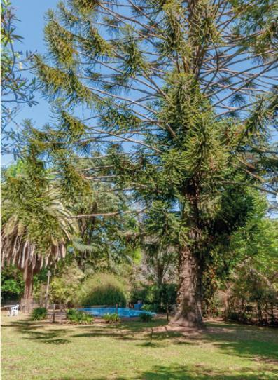 Foto de Venta Lote con Doble Frente en Pilar – Oportunidad de Desarrollo, imagen 5
