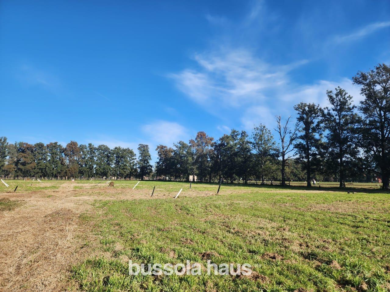 Foto de TERRENO EN VENTA EN ALMAHUE PILAR, LA LONJA, imagen 4