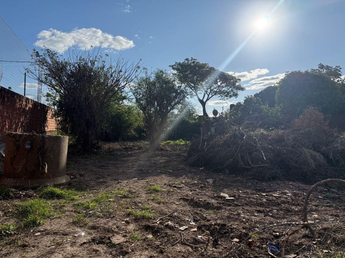 Foto de OPORTUNIDAD DE INVERSION. TERRENO DE 763 m² EN VENTA, imagen 5