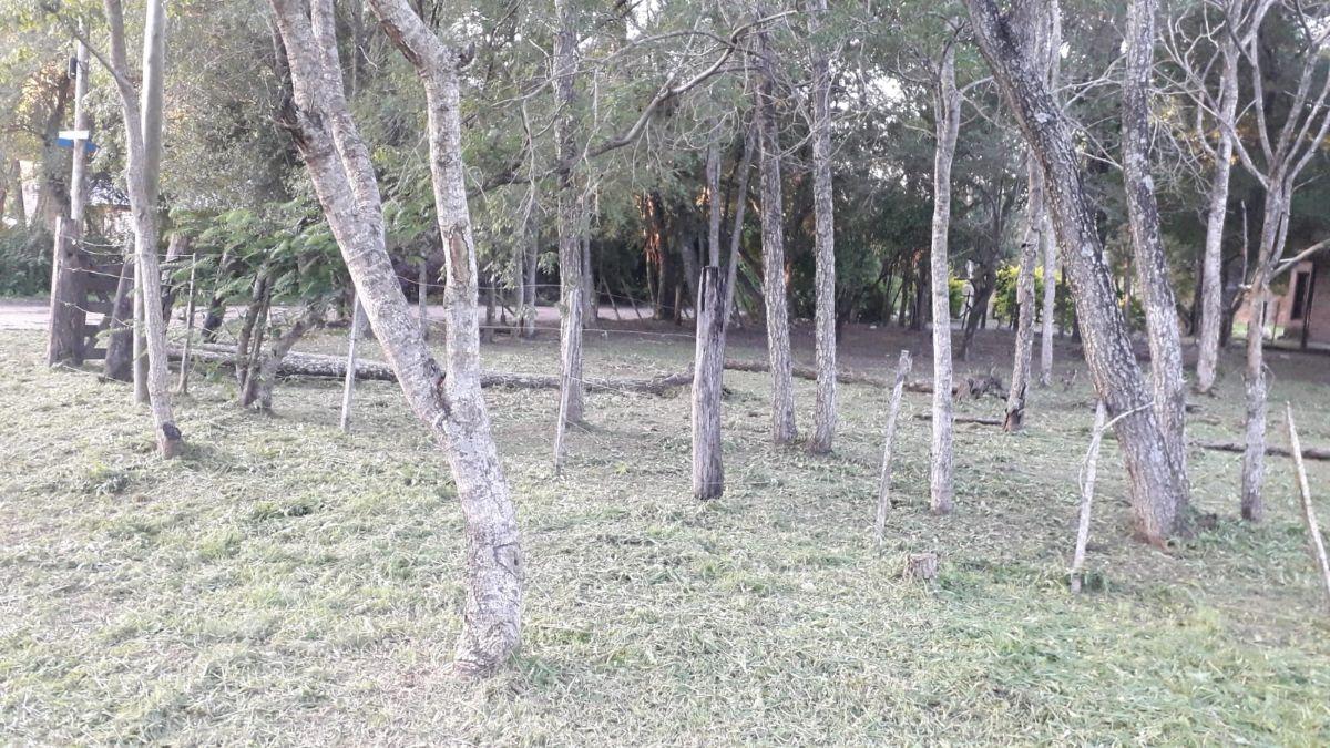 Foto de TERRENO EN VENTA | PASO DE LA PATRIA, imagen 2