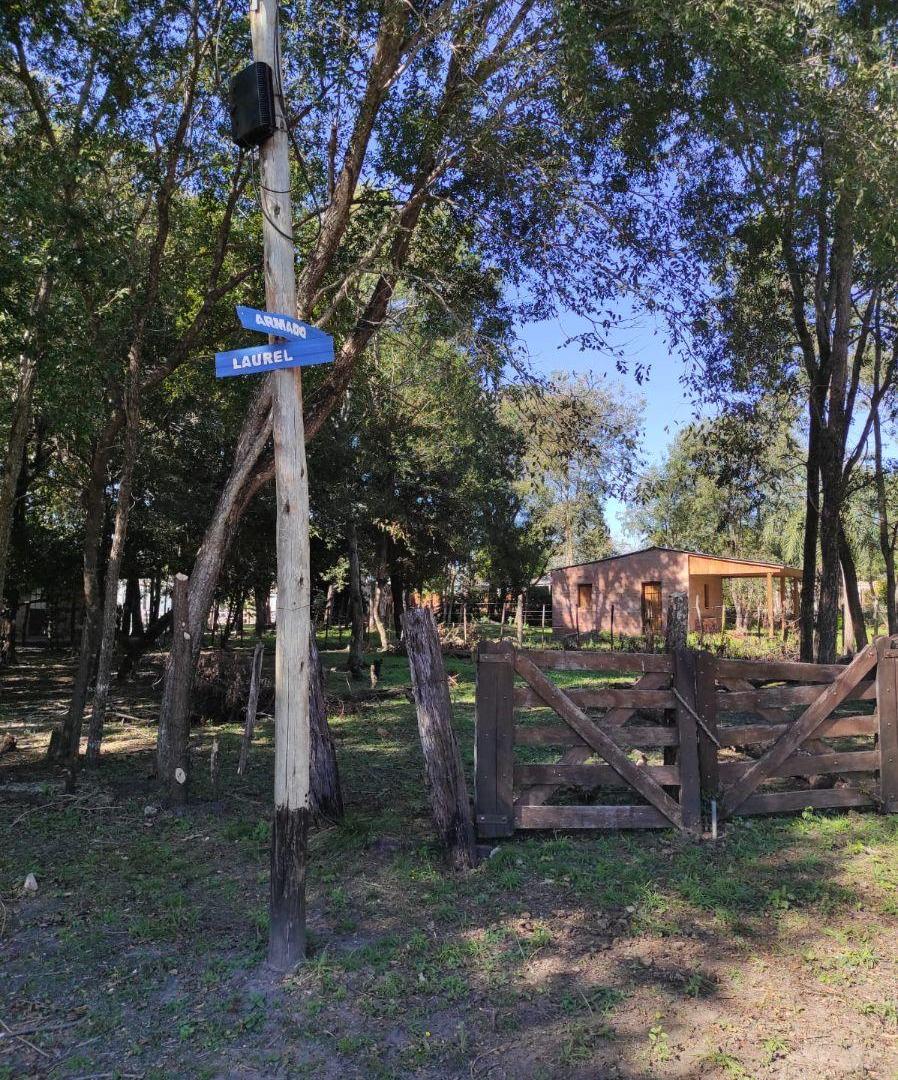 Foto de TERRENO EN VENTA | PASO DE LA PATRIA, imagen 3