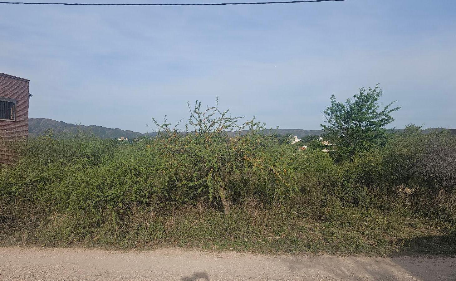 Foto de Terreno - Villa Parque Siquiman, imagen 5