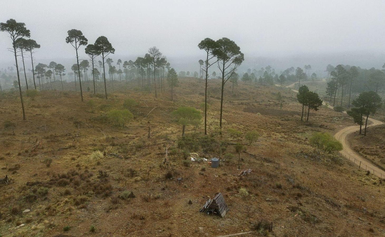 Terreno en Los Reartes