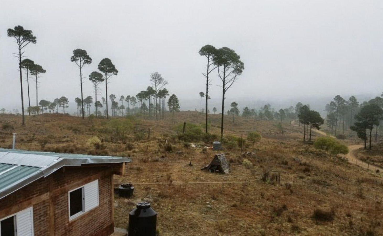 Foto de Terreno en Los Reartes, imagen 1