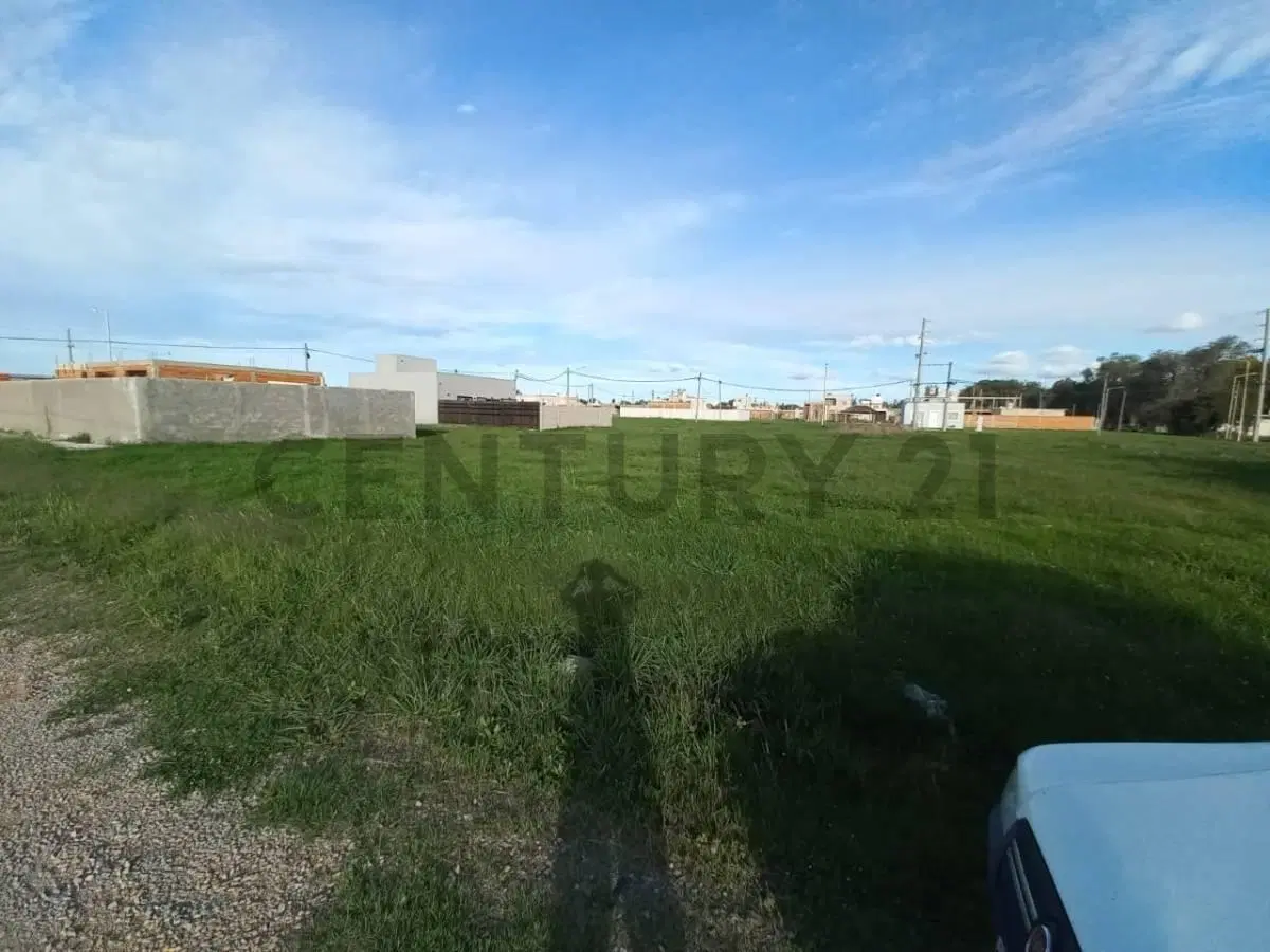 Lote de 8x25 m (200 m2) en La Esperanza, Tristán Suárez (Ezeiza) 6