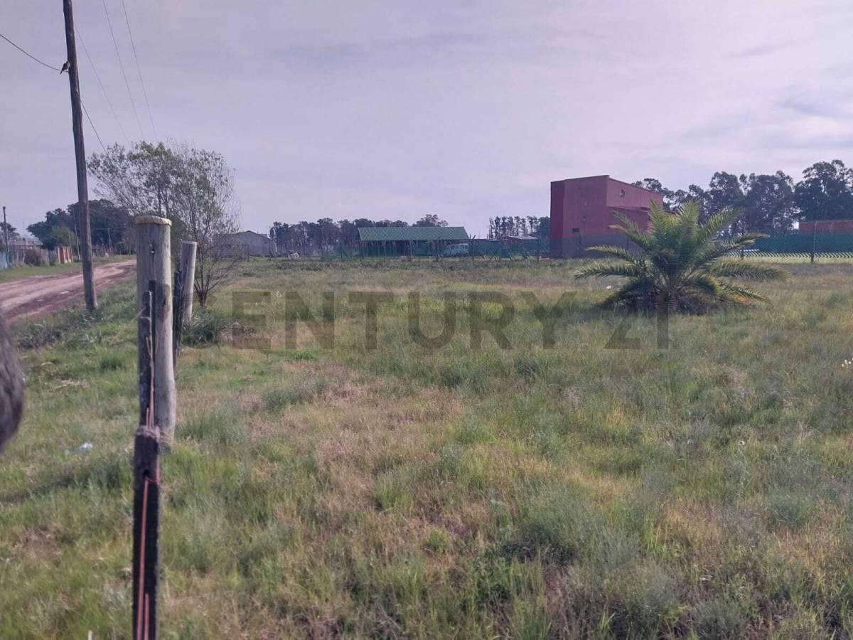 Foto de Lote- venta- Alejandro Korn San Vicente, imagen 1