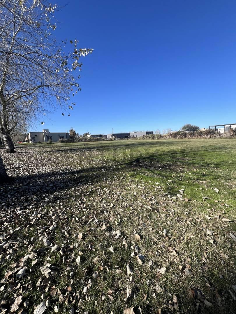 Foto de Gran oportunidad! Lote de 2.100 m² en Fincas de San Vicente Sporting, imagen 4
