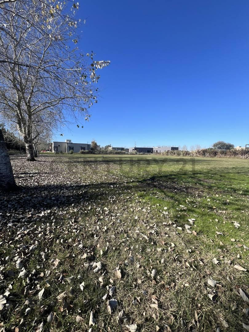 Foto de Gran oportunidad! Lote de 2.100 m² en Fincas de San Vicente Sporting, imagen 2