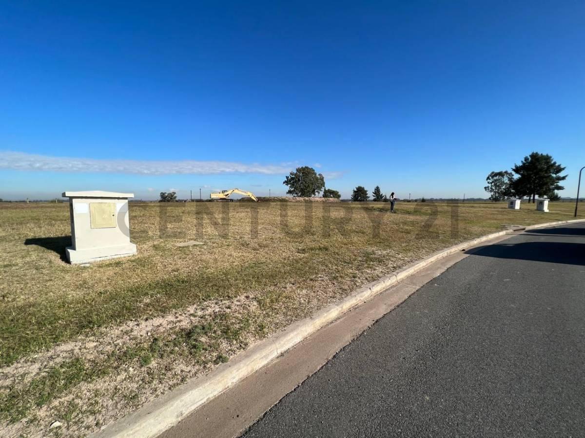 Foto de LOTE RUTA 2 KM 62 EN AREA 60 LA VICTORIA, imagen 4