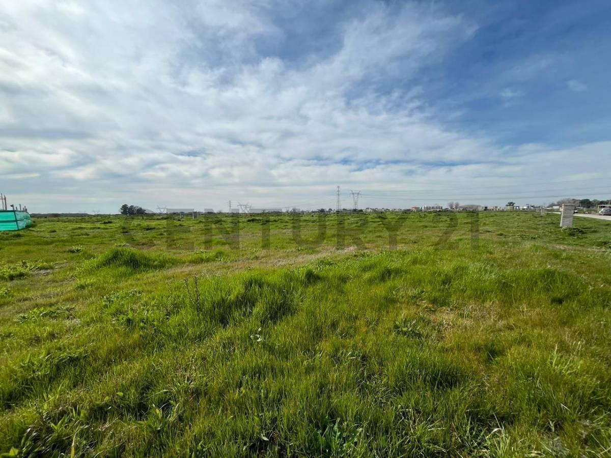 Foto de VENTA DE LOTE INTERNO EN LA MAGDALENA, imagen 4