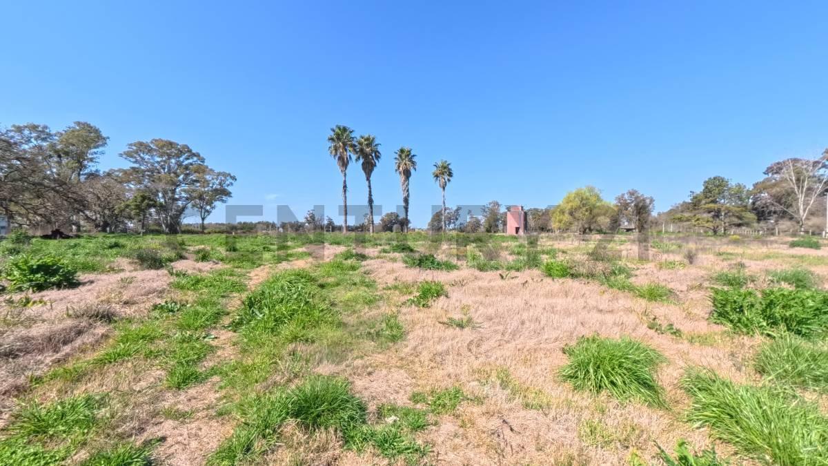 Foto de Venta de terreno de 11,8 hectáreas, Hudson, Berazategui., imagen 2