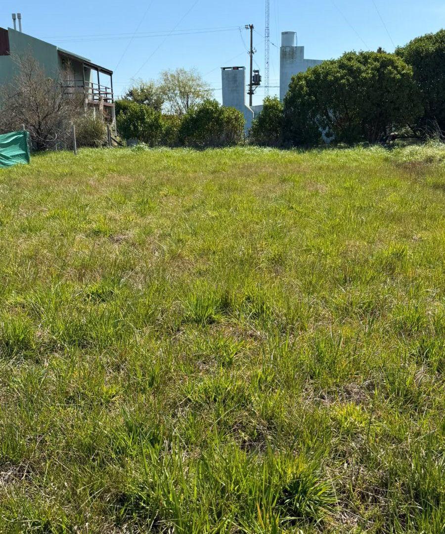 Foto de EN VENTA LOTE DE 473 m² CARRANZA E/ RICCHIERI E IRIARTE, CAMET NORTE, imagen 2