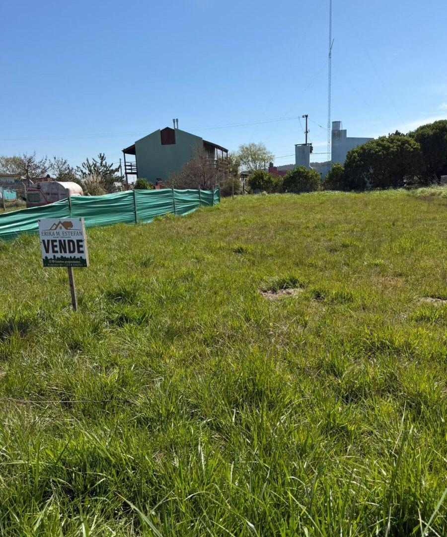 Foto de EN VENTA LOTE DE 473 m² CARRANZA E/ RICCHIERI E IRIARTE, CAMET NORTE, imagen 3