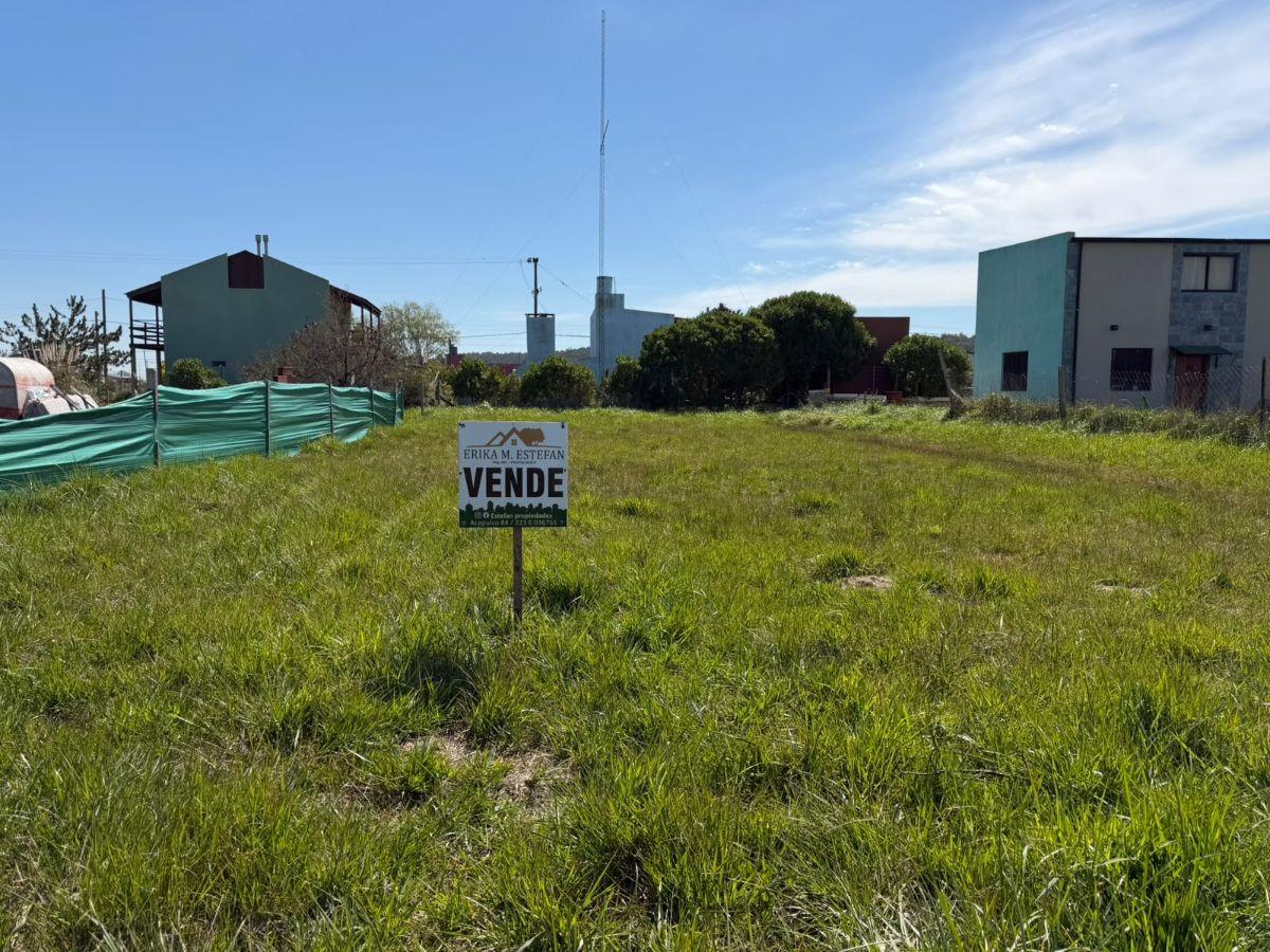 Foto de EN VENTA LOTE DE 473 m² CARRANZA E/ RICCHIERI E IRIARTE, CAMET NORTE, imagen 1
