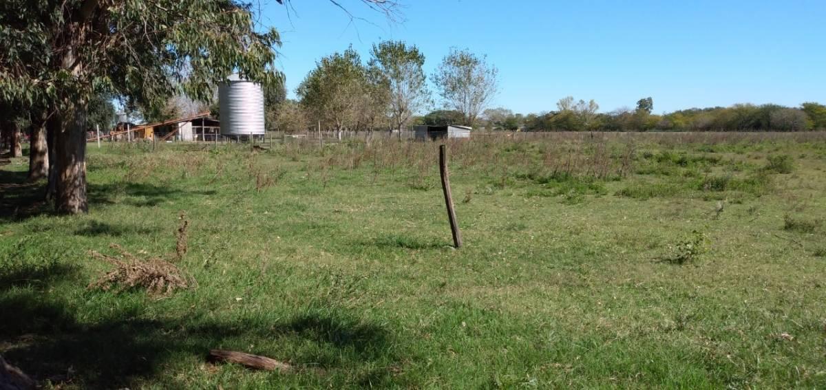 Venta Hermosa Quinta de 18 Ha con Casco en Marcos Paz 5