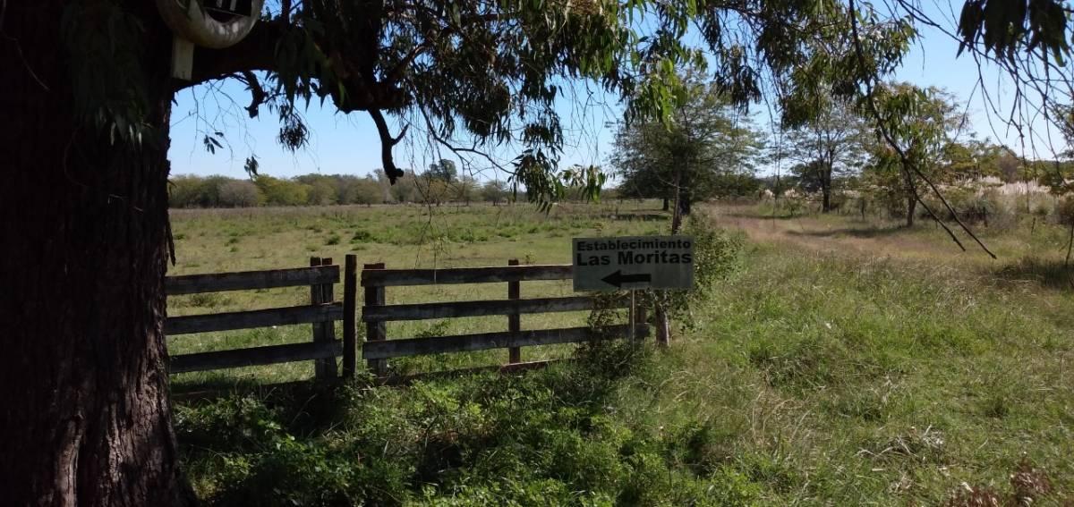 Venta Hermosa Quinta de 18 Ha con Casco en Marcos Paz 4
