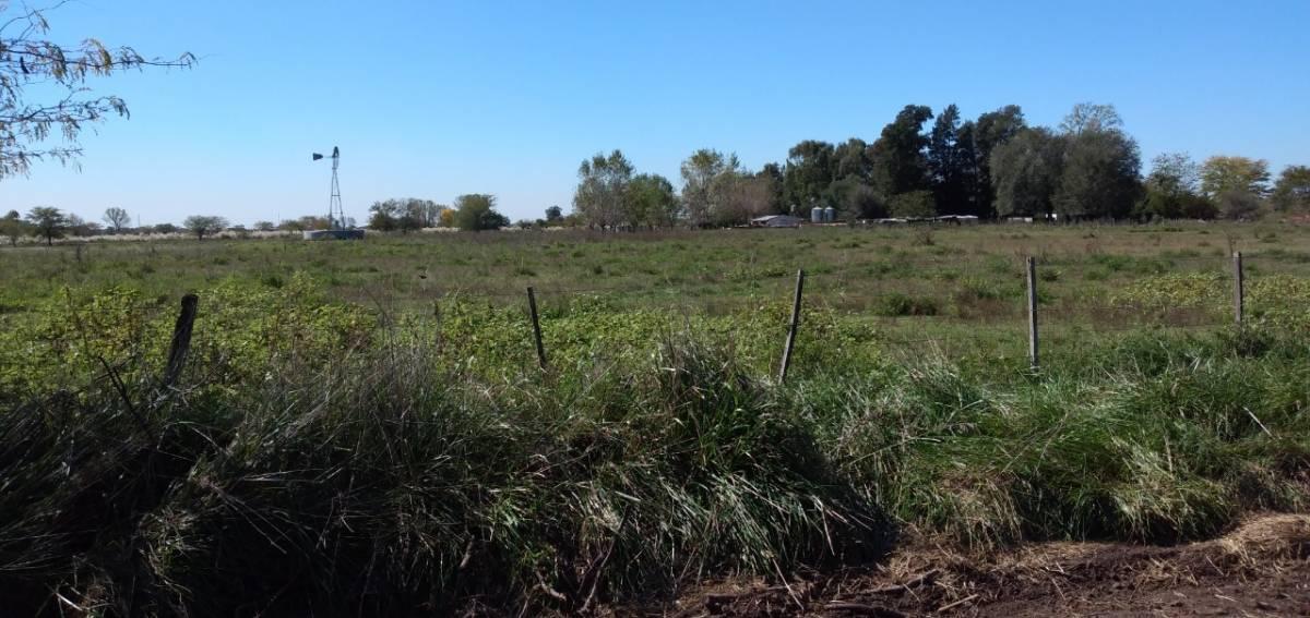 Venta Hermosa Quinta de 18 Ha con Casco en Marcos Paz 2