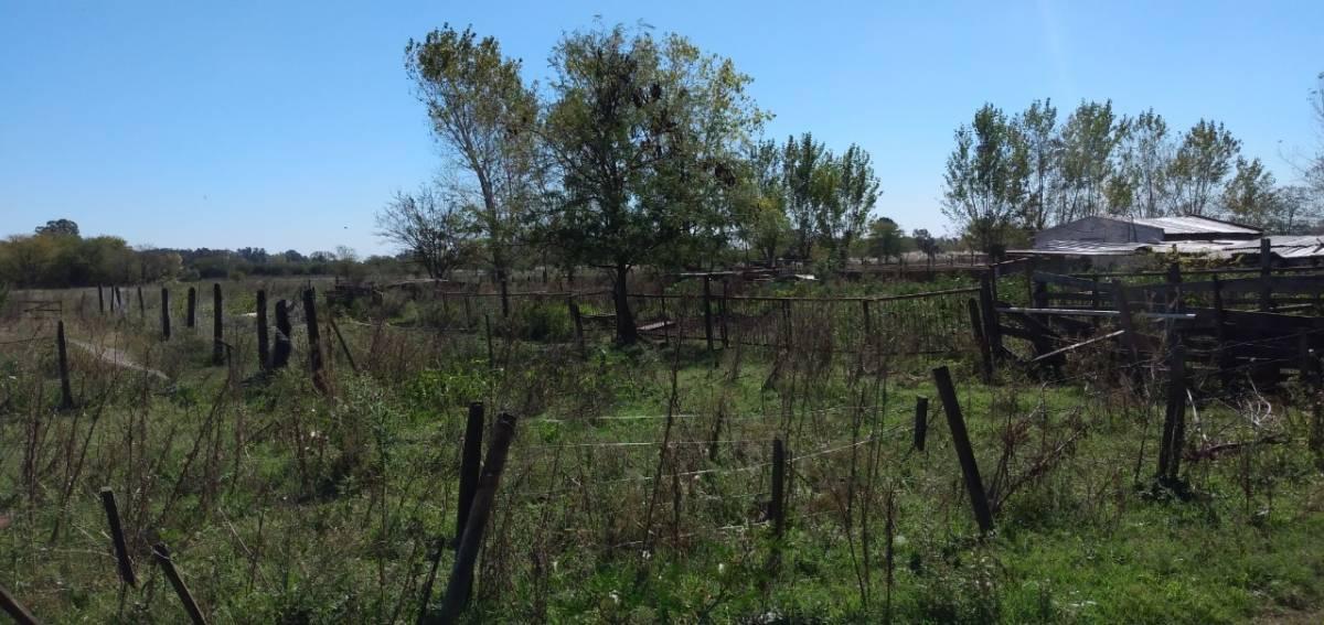 Venta Hermosa Quinta de 18 Ha con Casco en Marcos Paz 1