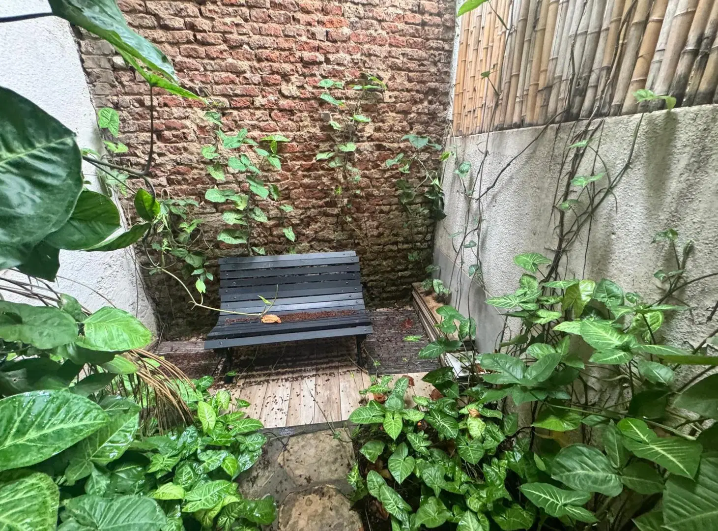 VENTA DEPARTAMENTO MONOAMBIENTE CON PATIO EN PALERMO CHICO REFACCIONADO A NUEVO AMOBLADO APTO PROFES 2