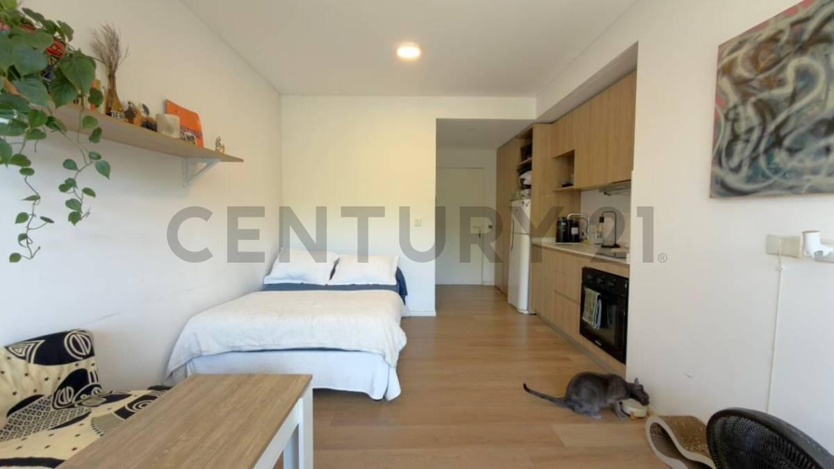 Foto de VENTA MONOAMBIENTE SAAVEDRA C/PILETA-PARRILLA-LAUNDRY, imagen 5