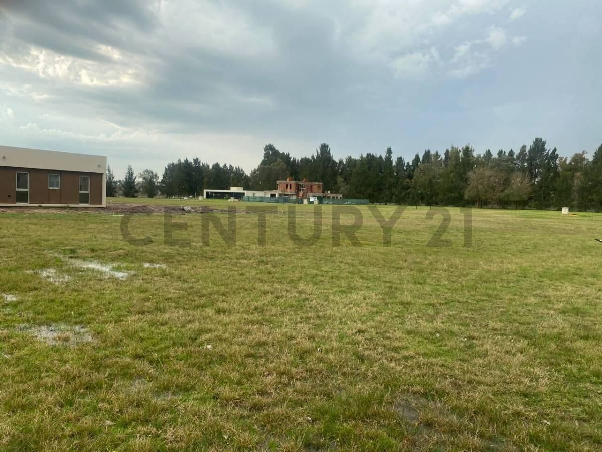 Foto de LOTE LA VICTORIA AREA 60, imagen 5