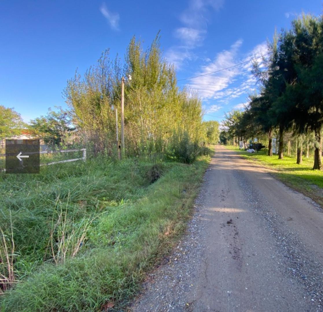 Foto de EXCELENTE LOTE A 100 MTS DEL RIO- GRAL. BELGRANO, imagen 5