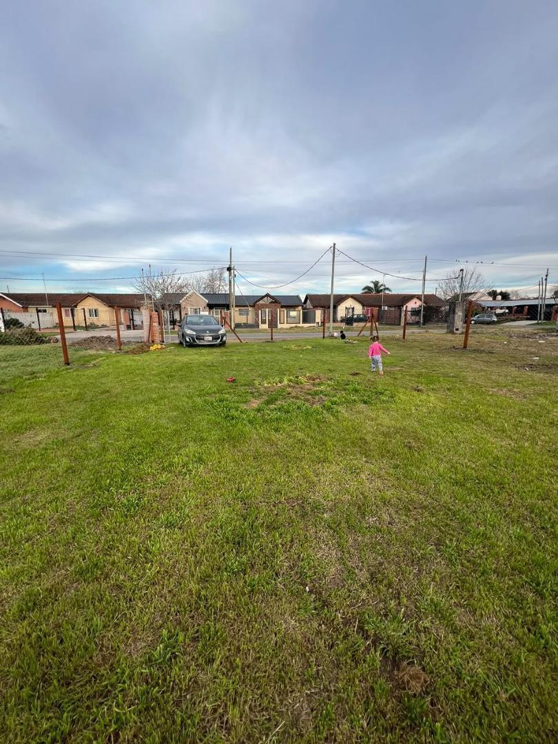 Foto de LOTE EN BARRIO SANTA ANA. GLEW, imagen 2