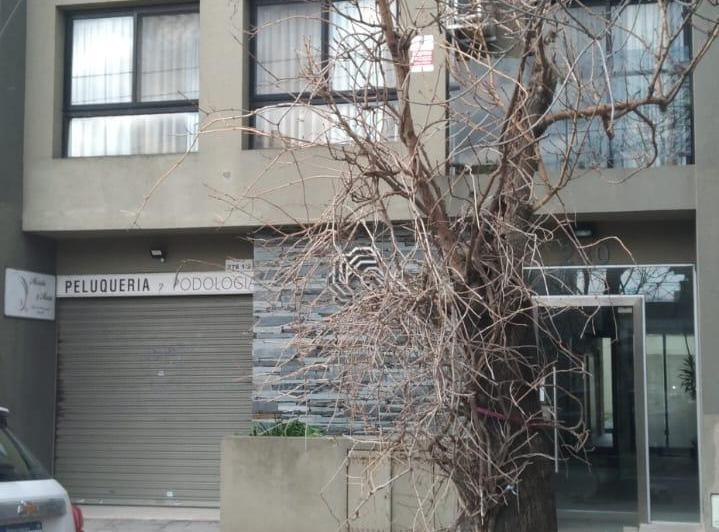ALQUILER DEPARTAMENTO MONO 2